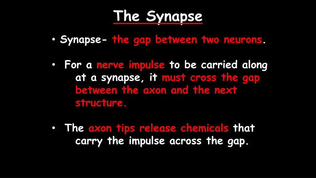 the synapse