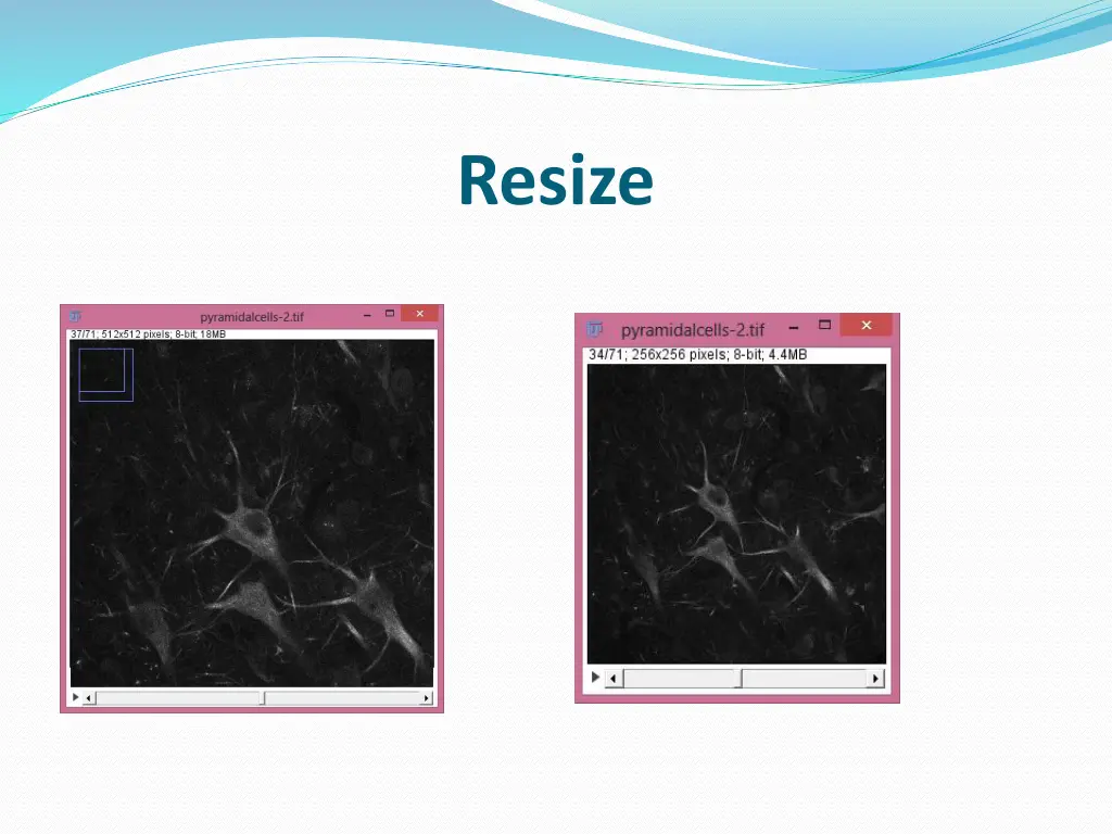 resize