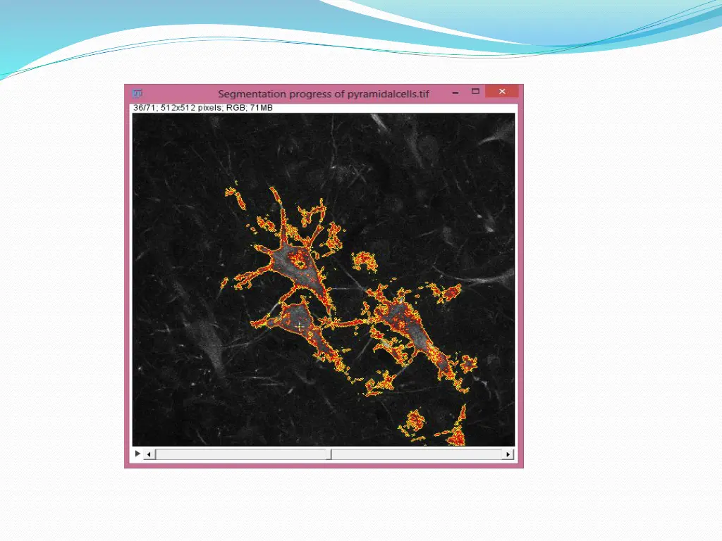 slide8
