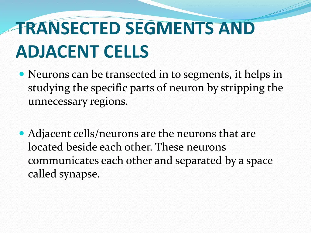 transected segments and adjacent cells