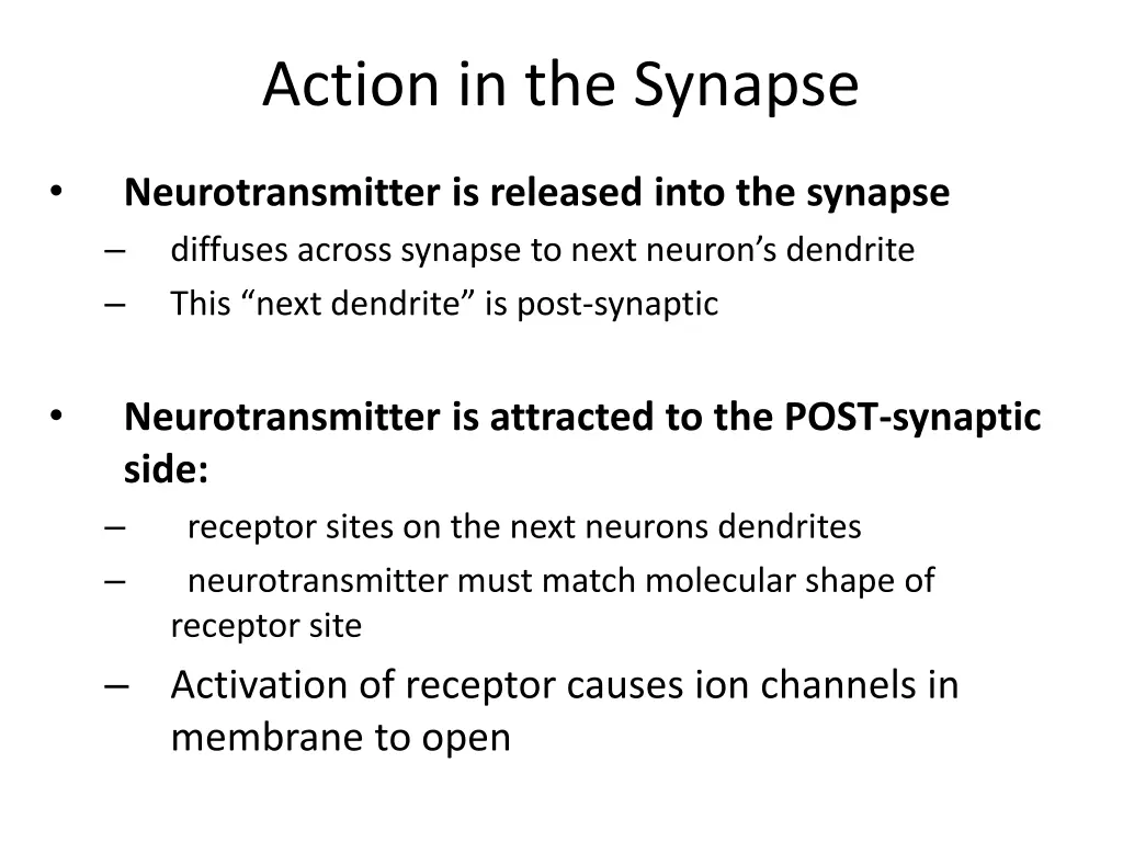 action in the synapse