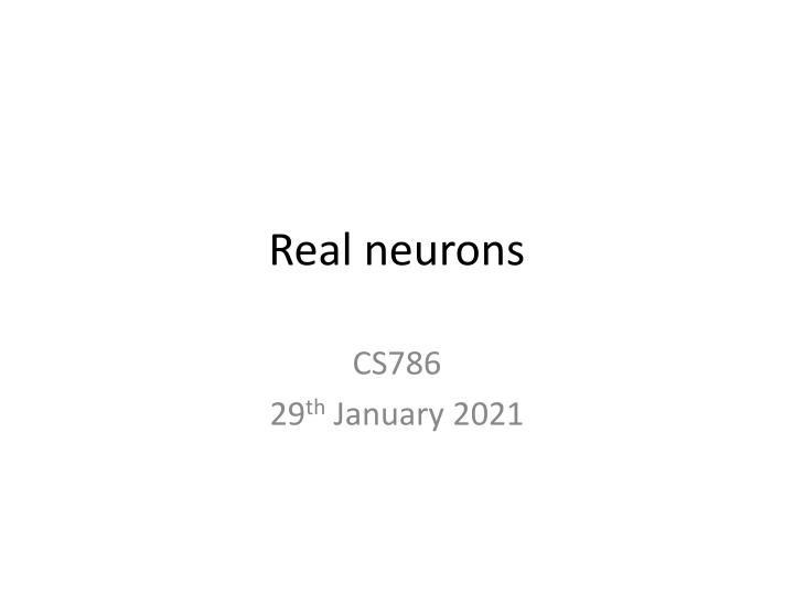 real neurons