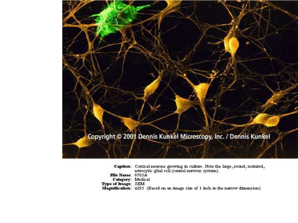slide2