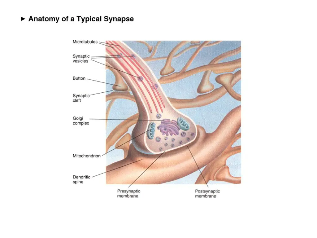 slide23