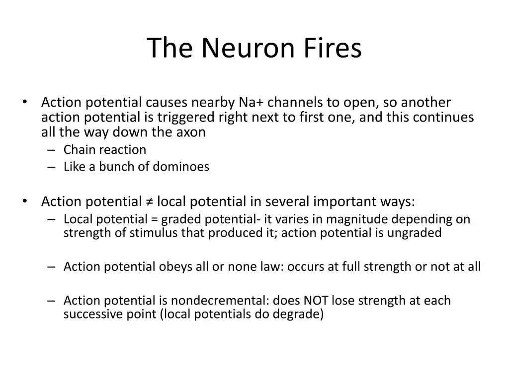 the neuron fires