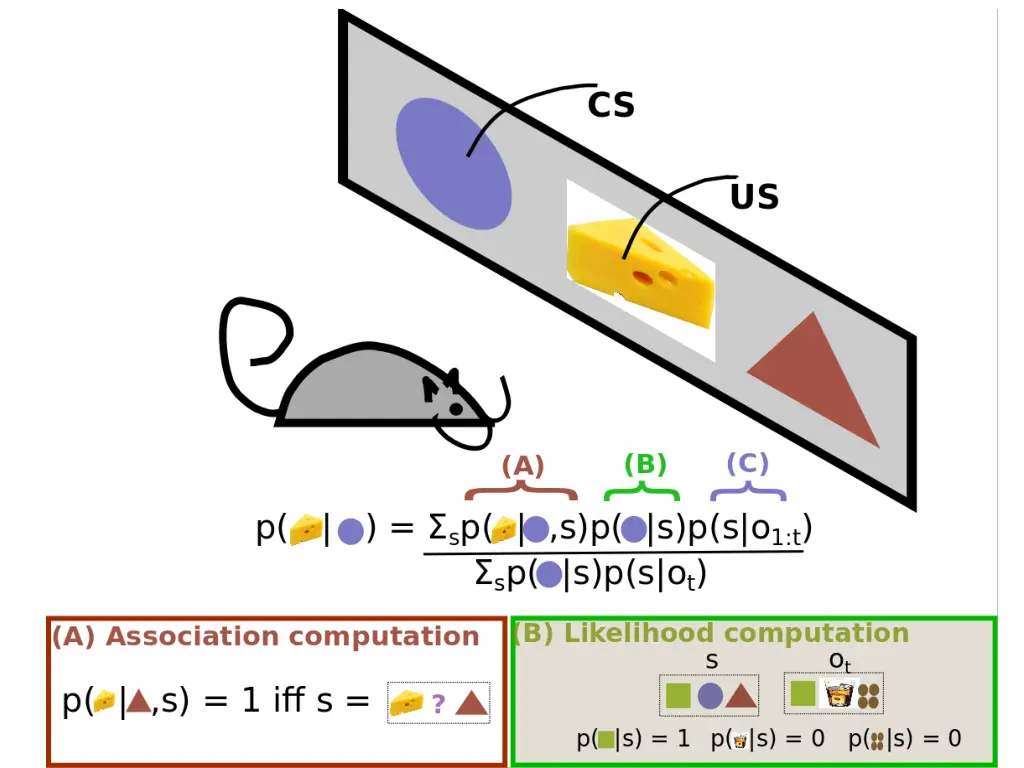 slide11