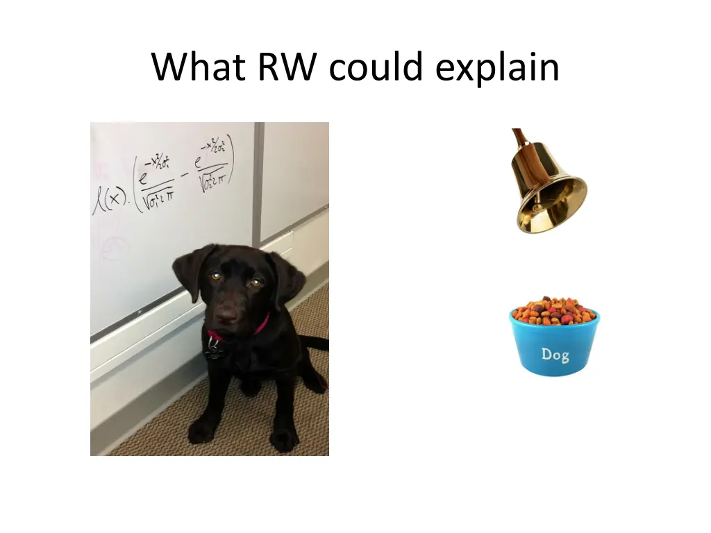 what rw could explain