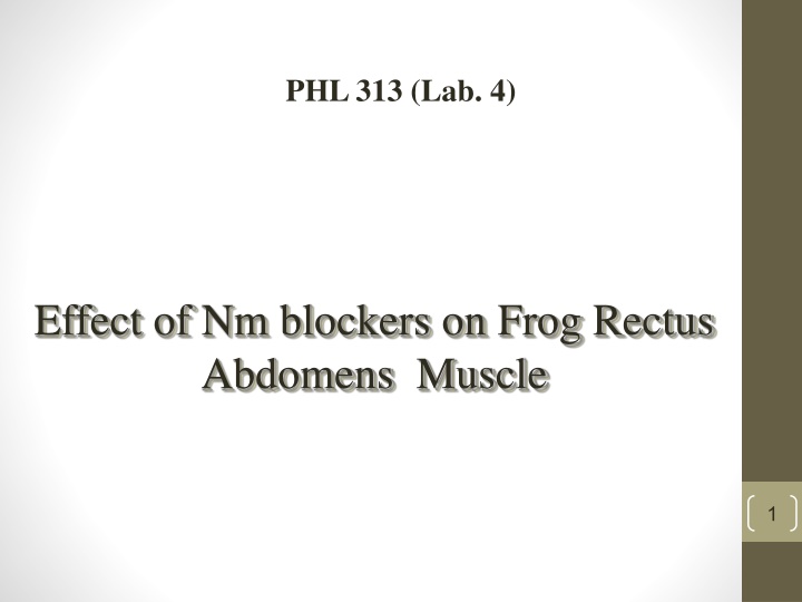phl 313 lab 4
