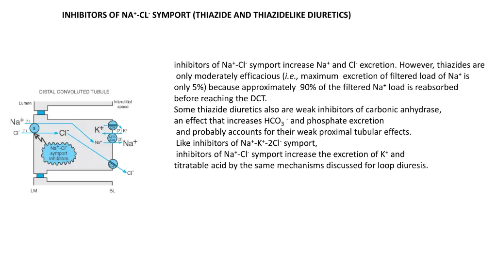 inhibitors of na cl symport thiazide