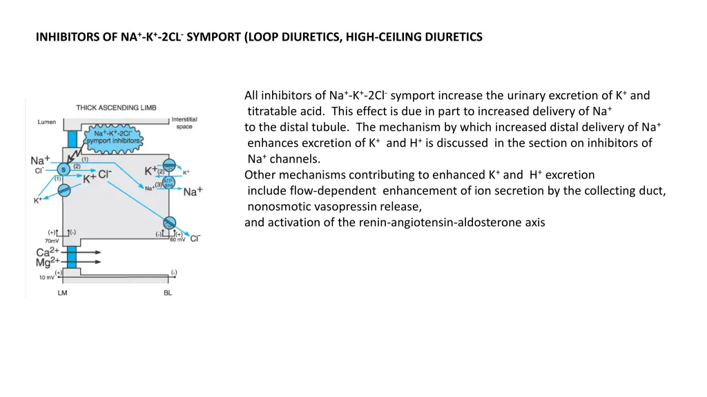 inhibitors of na k 2cl symport loop diuretics