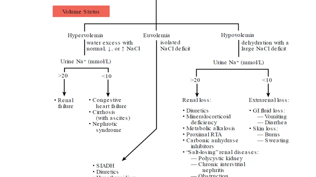 slide11