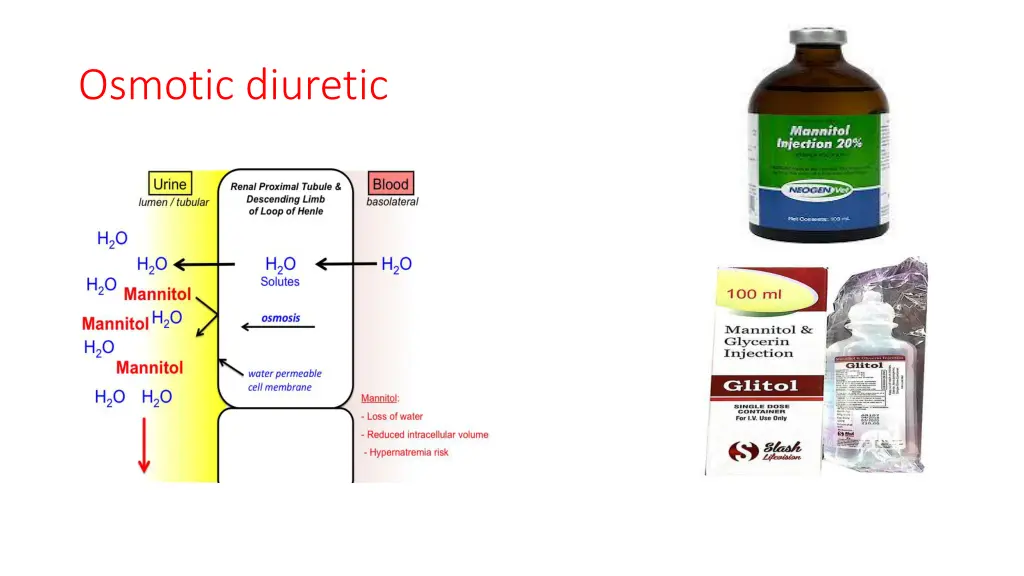 osmotic diuretic