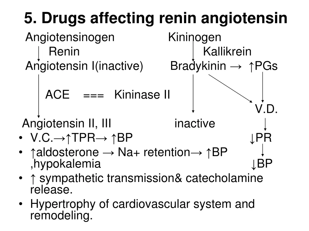 5 drugs affecting renin angiotensin