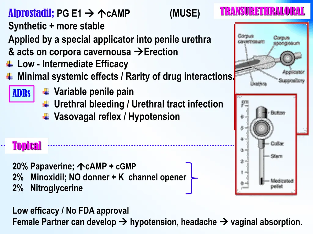 transurethraloral