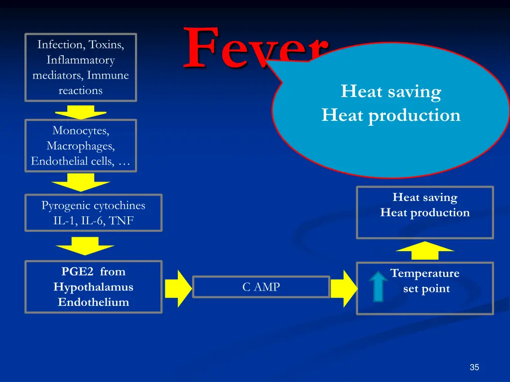 fever