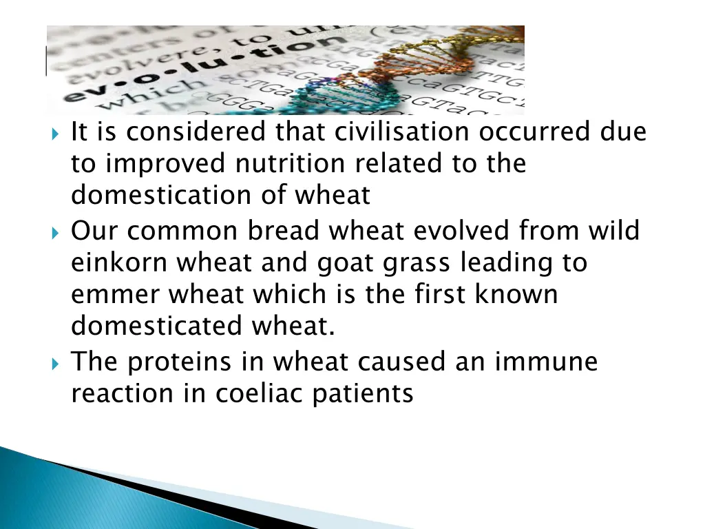 it is considered that civilisation occurred