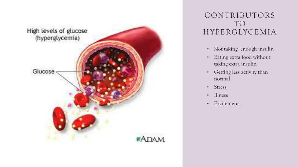 contributors to hyperglycemia