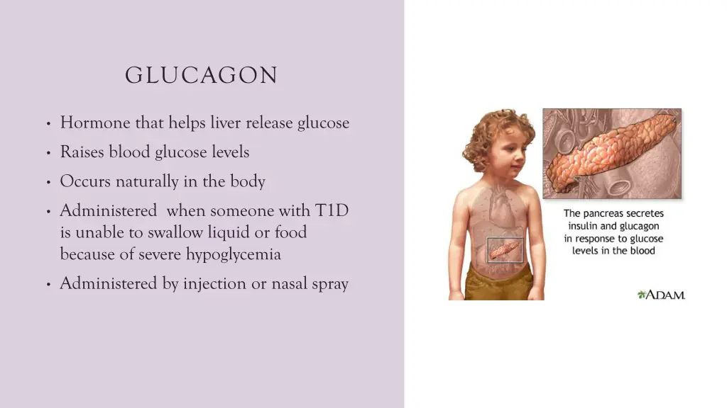 glucagon