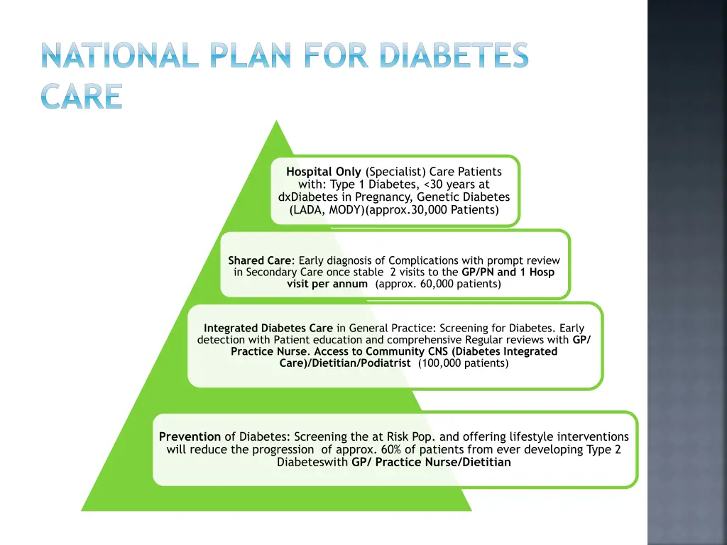national plan for diabetes care
