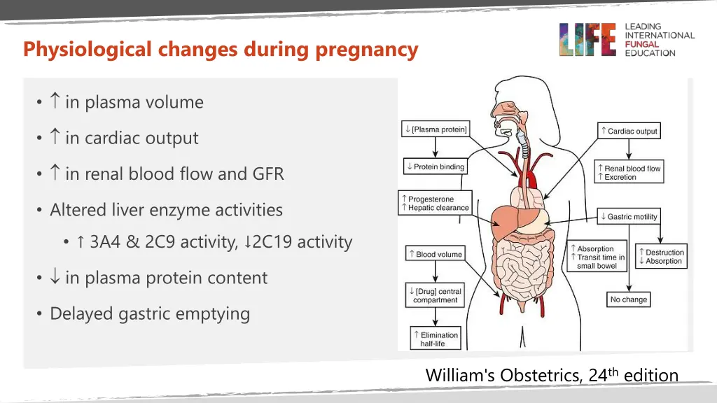 physiological changes during pregnancy