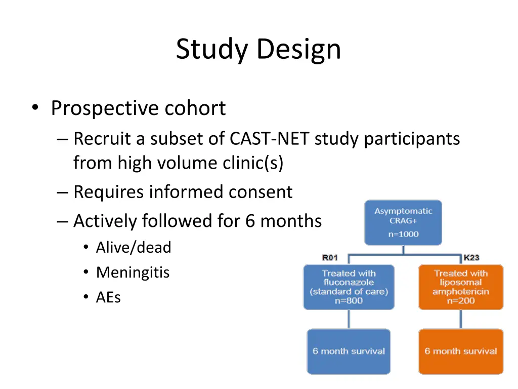 study design
