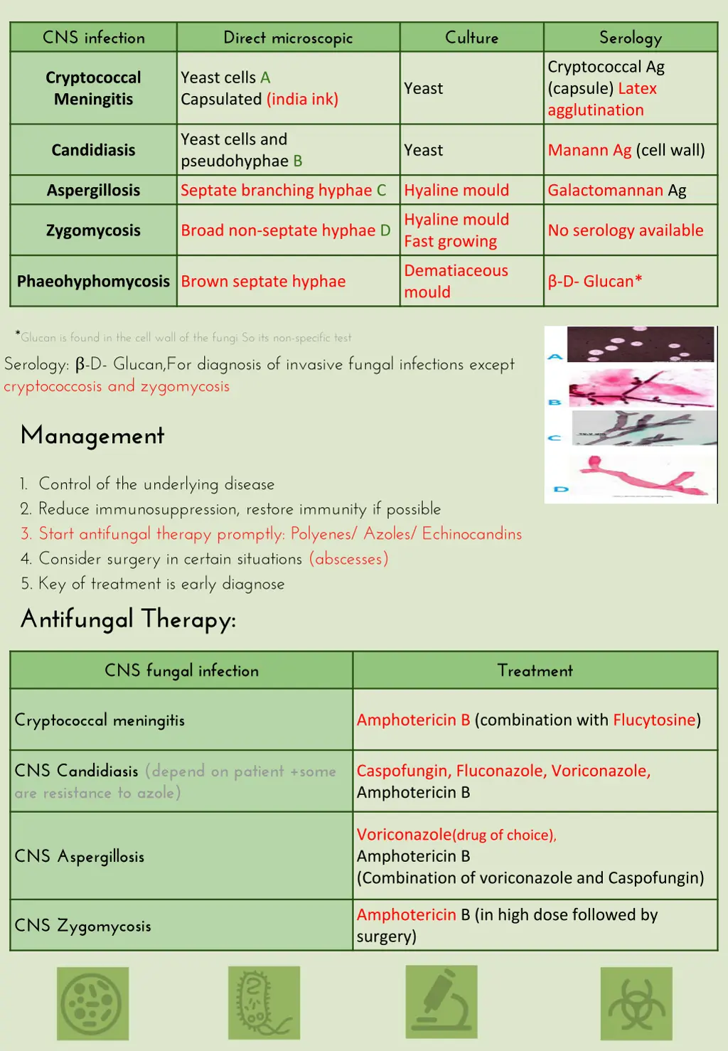 cns infection