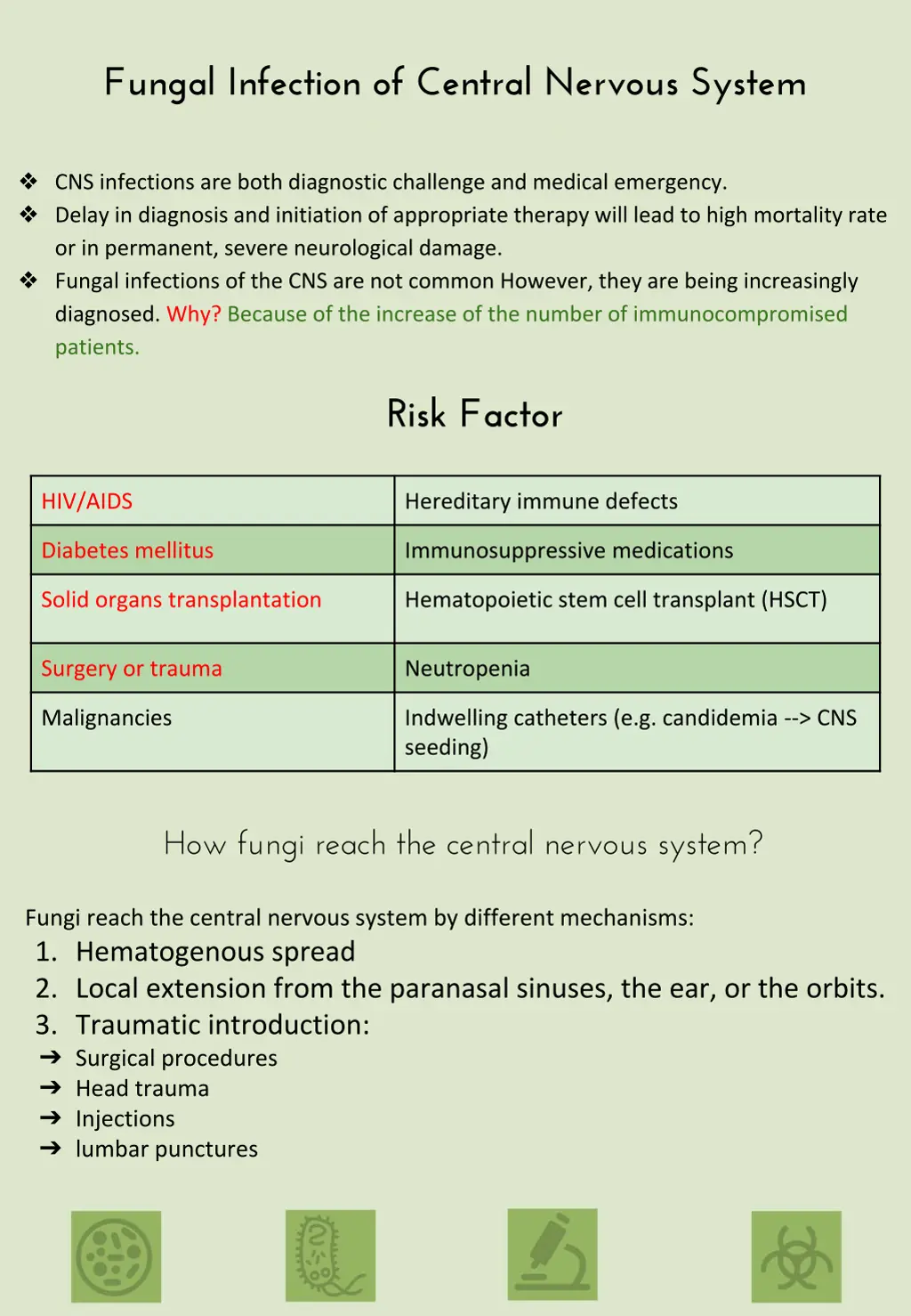 fungal infection of central nervous system