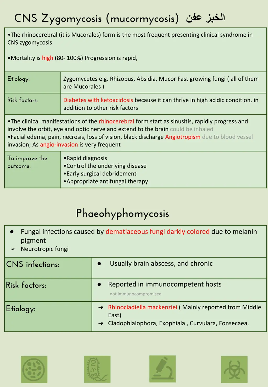 slide5