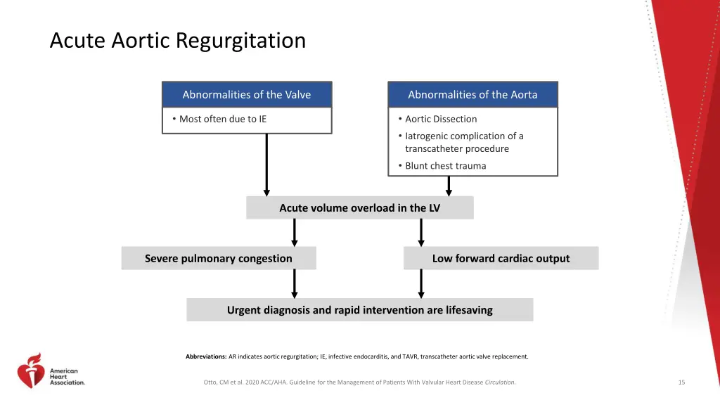 acute aortic regurgitation
