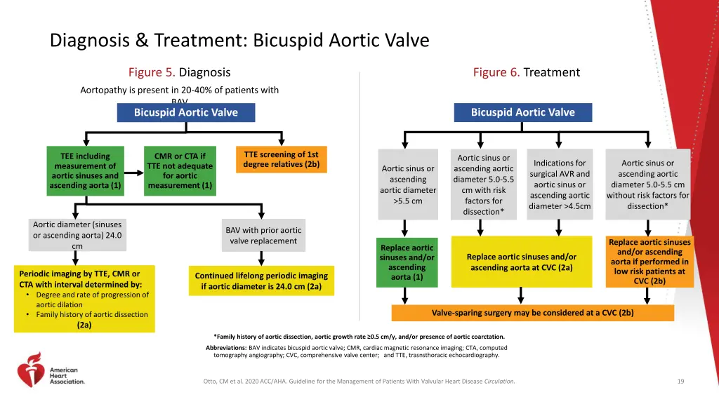 diagnosis treatment bicuspid aortic valve