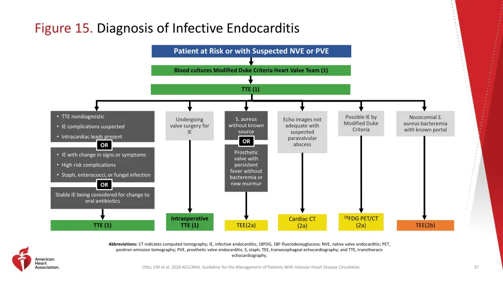 figure 15 diagnosis of infective endocarditis