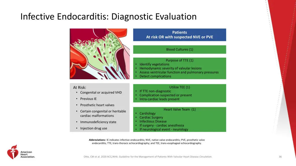 infective endocarditis diagnostic evaluation