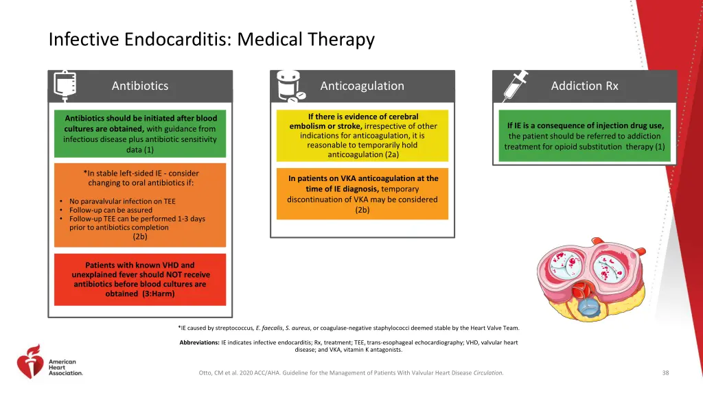 infective endocarditis medical therapy