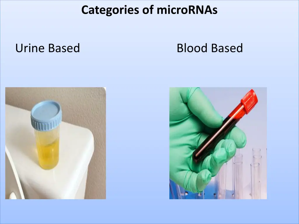 categories of micrornas