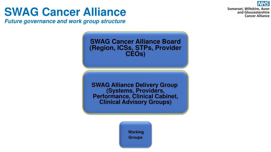 swag cancer alliance future governance and work