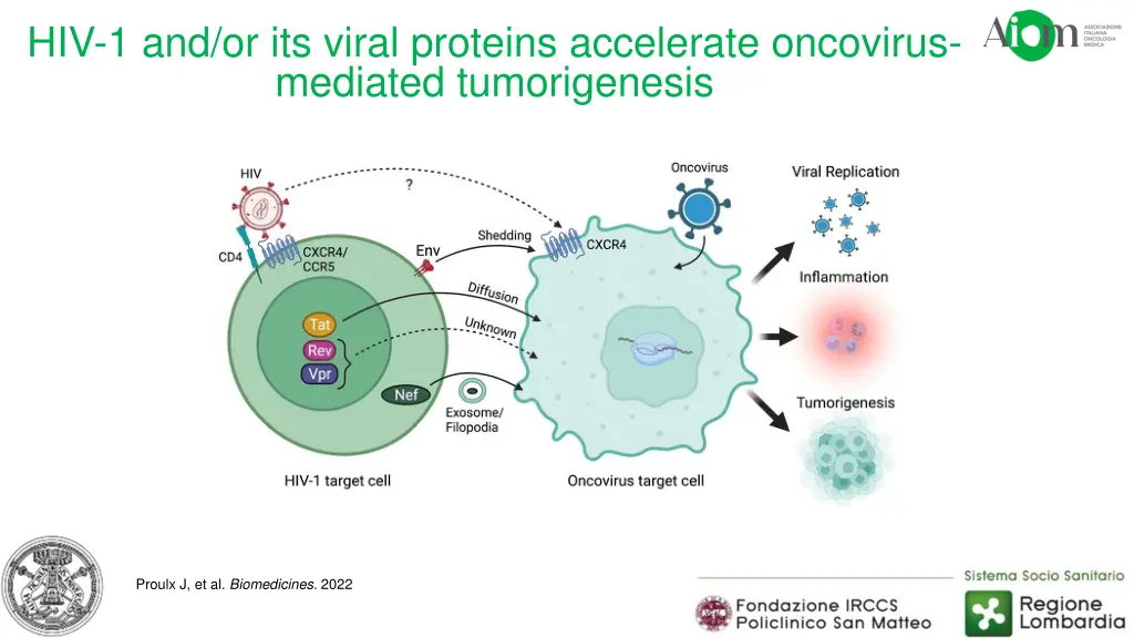 hiv 1 and or its viral proteins accelerate