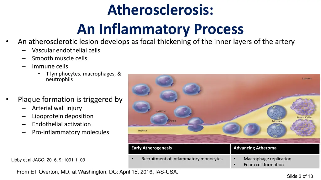 atherosclerosis an inflammatory process