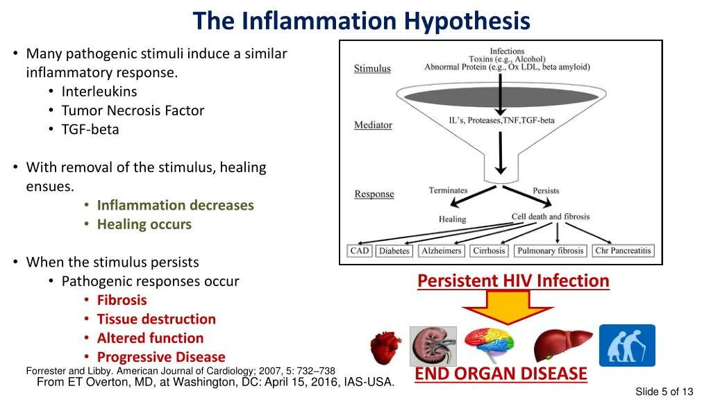 the inflammation hypothesis