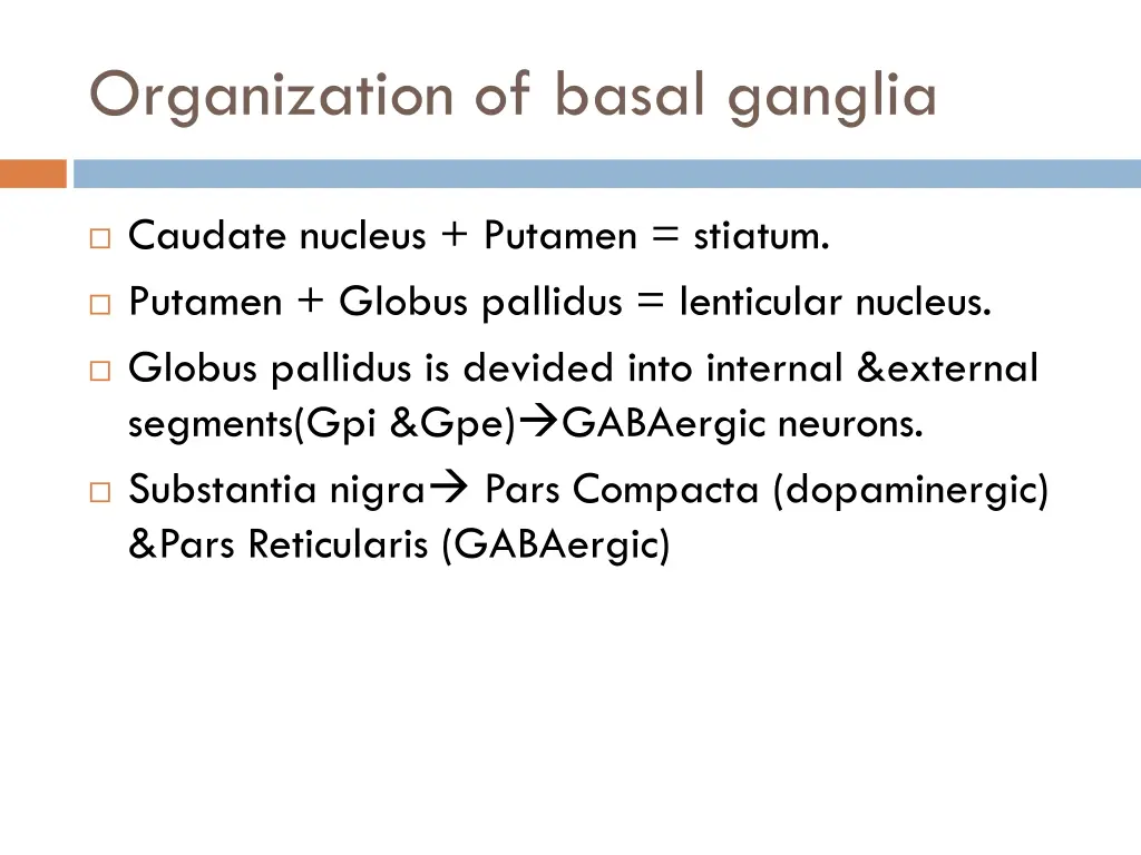 organization of basal ganglia 1