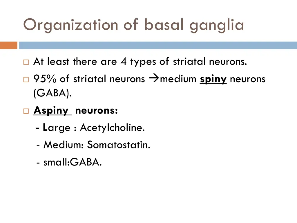organization of basal ganglia 2