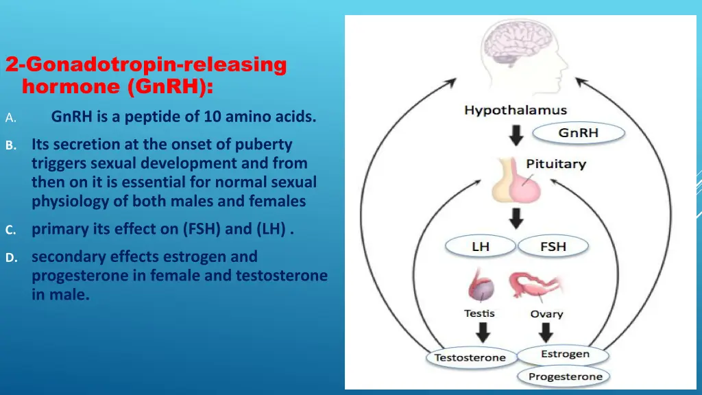 2 gonadotropin releasing hormone gnrh