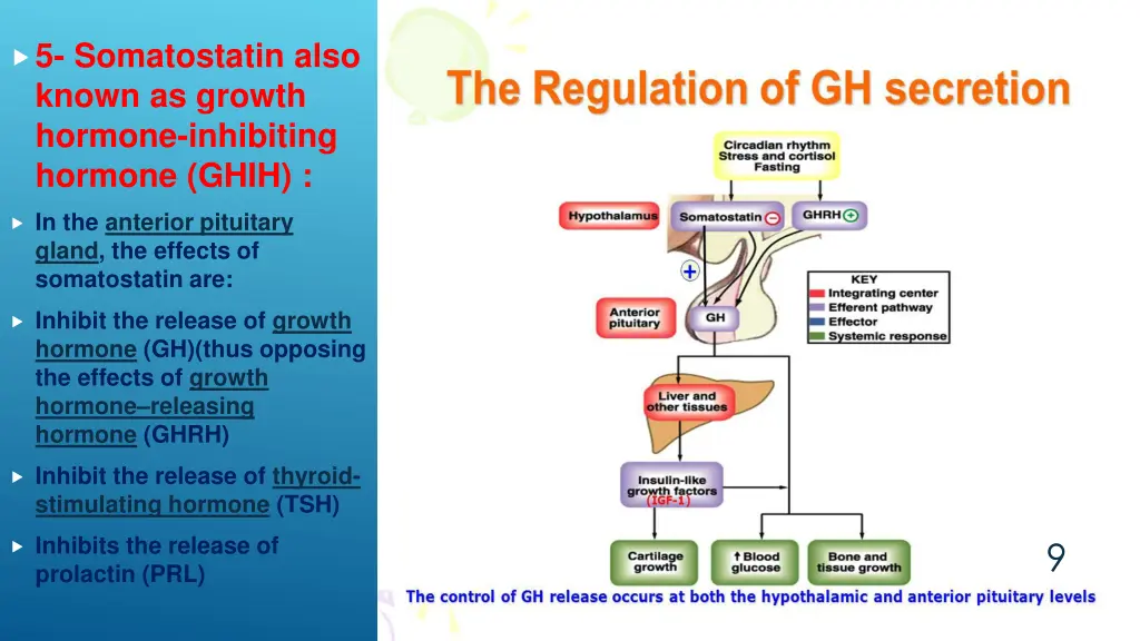 5 somatostatin also known as growth hormone