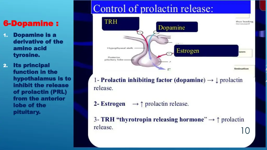 6 6 dopamine dopamine dopamine is a dopamine