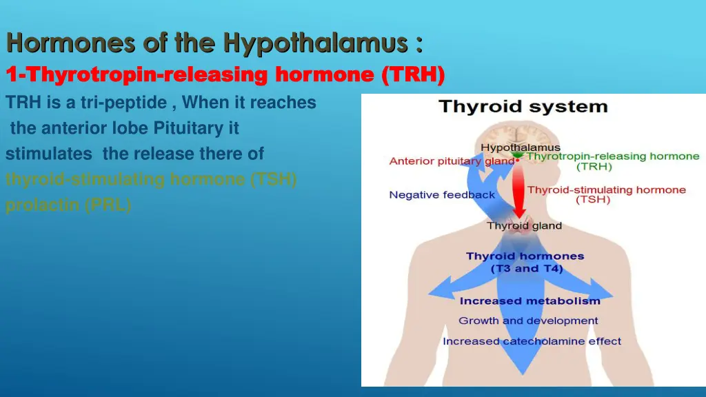 hormones of the hypothalamus 1 1 thyrotropin