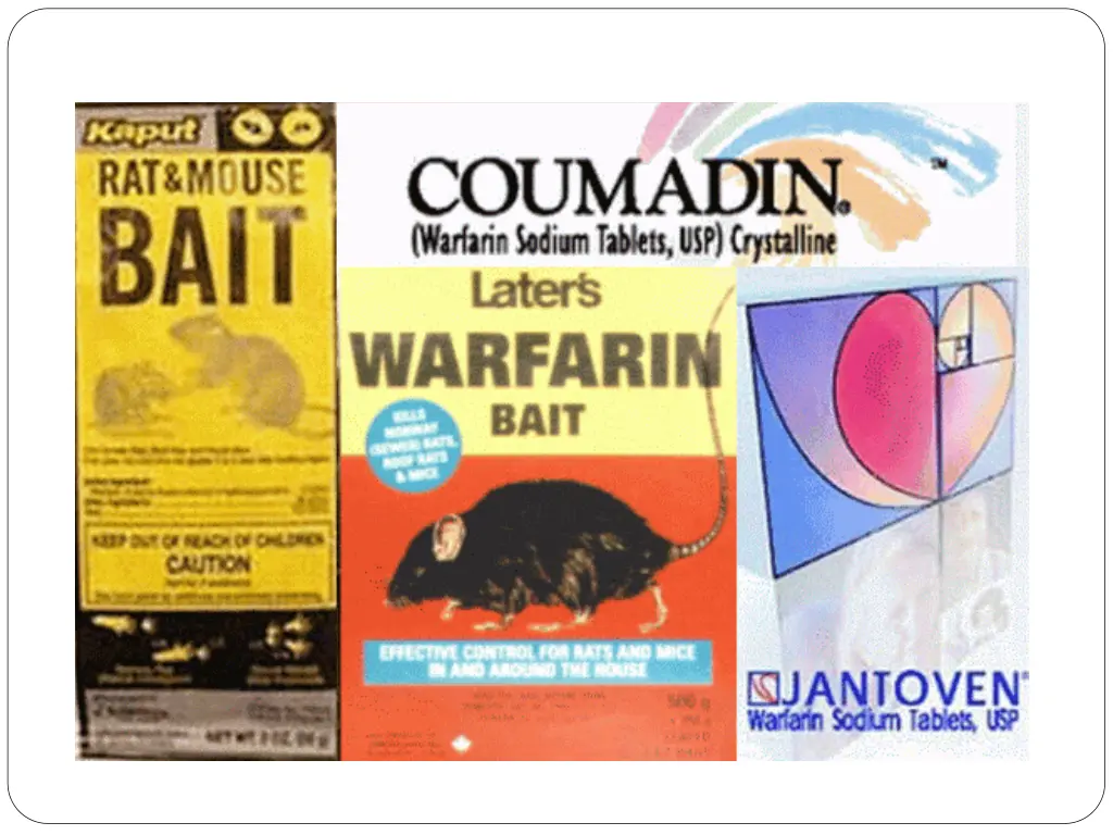 slide11