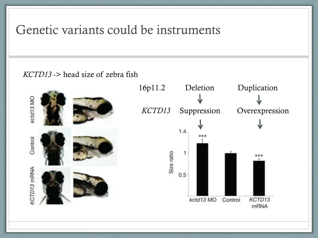 genetic variants could be instruments