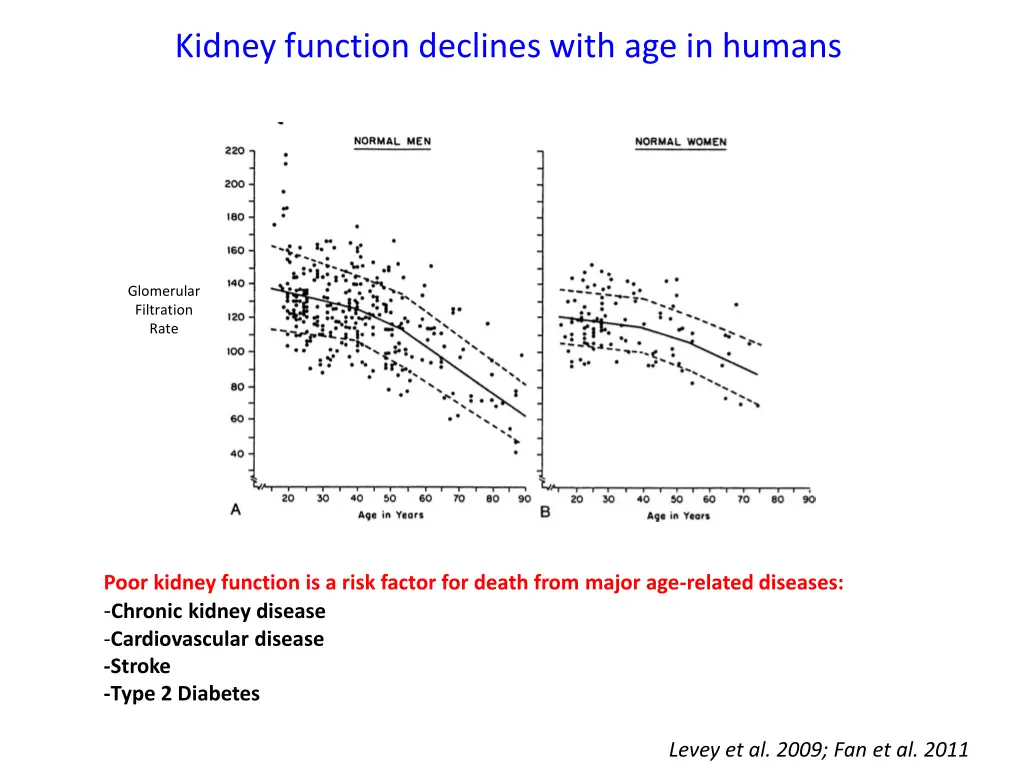 kidney function declines with age in humans