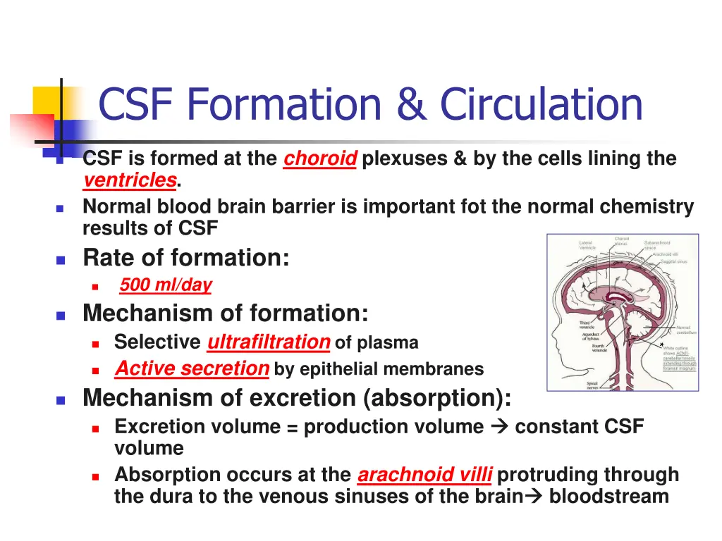 csf formation circulation