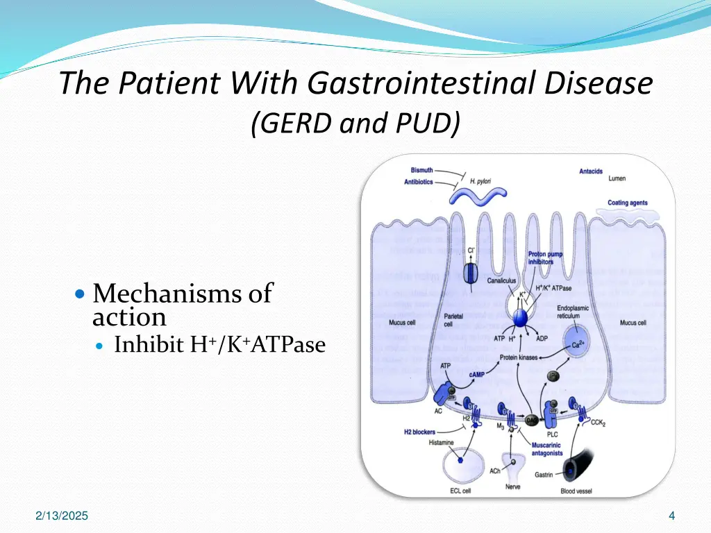 the patient with gastrointestinal disease gerd 1