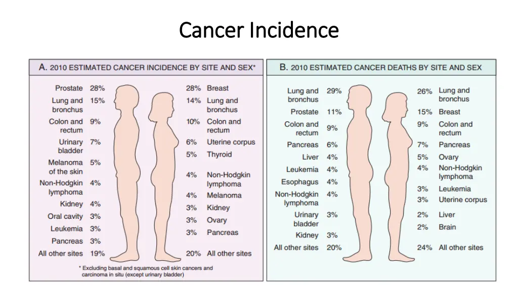 cancer incidence cancer incidence